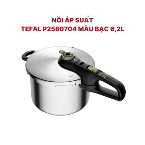 Nồi áp suất Tefal P2580704 màu bạc ( 6,2L )