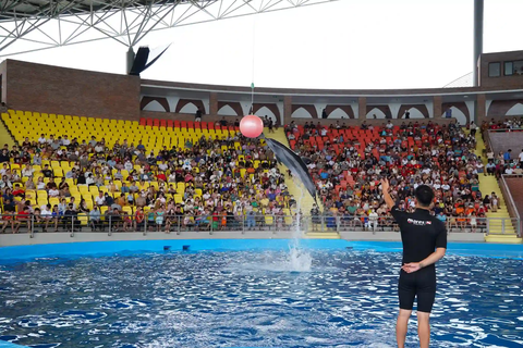 Vé Show Cá Heo Cổ Cò – Da Nang Dolphinarium