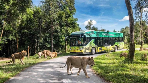 [COMBO VÉ] Vinpearl Safari + VinWonders Phú Quốc + Bảo tàng gấu DÙNG TRONG 2 NGÀY