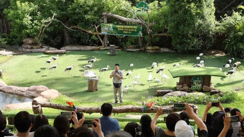 Vin Safari Admission Ticket + Tặng Food Voucher