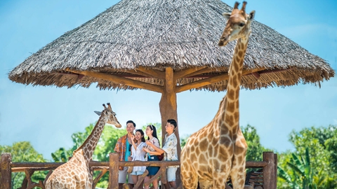 Vé Vào Cổng VinWonders Nam Hội An - Giảm 50% Người Địa Phương