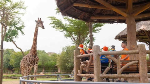 Vé Vinwonders Nam Hội An COMBO Wonder Sunset