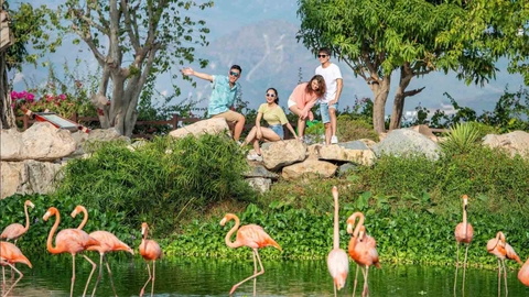 Vé VinWonders Nha Trang Cáp treo 2 chiều