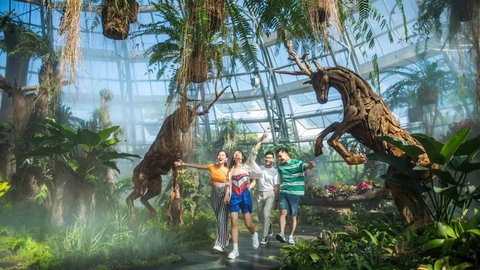 Vé VinWonders Nha Trang sau 16h00 cáp treo 2 chiều