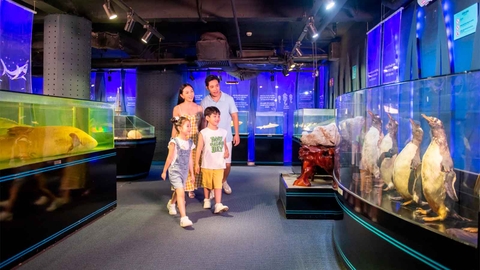 Vinke Aquarium Combo vé Thủy Cung và khu vui chơi mỗi khu 1 lần trong cùng 1 ngày (Cuối tuần)