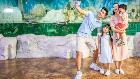 Vinke Aquarium Combo vé Thủy Cung + Vuivuiland cuối tuần