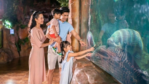 Vinke Aquarium Combo vé Thủy Cung + Vuivuiland trong tuần