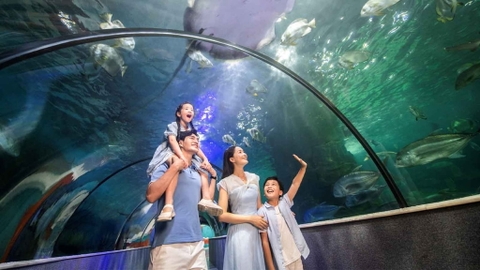 Vinke Aquarium Combo vé Vinke + Thủy Cung + Vuivuiland cuối tuần
