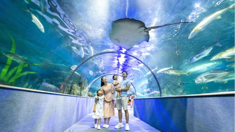 Vinke Aquarium Combo vé Vinke + Thủy Cung + Vuivuiland trong tuần