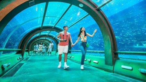 Vinke Aquarium Combo vé Vinke + Vuivuiland cuối tuần