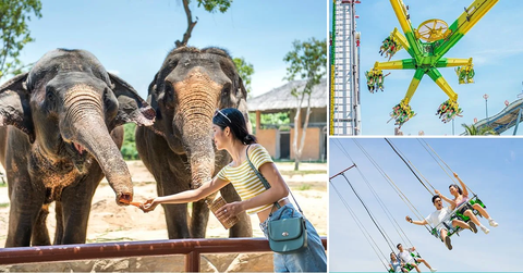 Vé Vào Cổng VinWonders Nam Hội An Ưu Đãi Khách Việt Nam