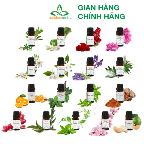 Tinh dầu hoa nhài/ hoa lài Jasmine 10ml (Việt Nam)