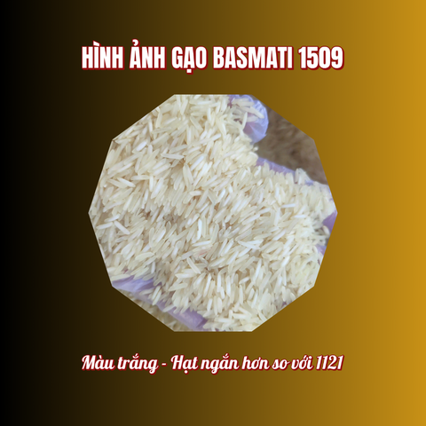 Gạo Basmati India (Ấn độ) Túi 1kg, ngăn ngừa tiểu đường