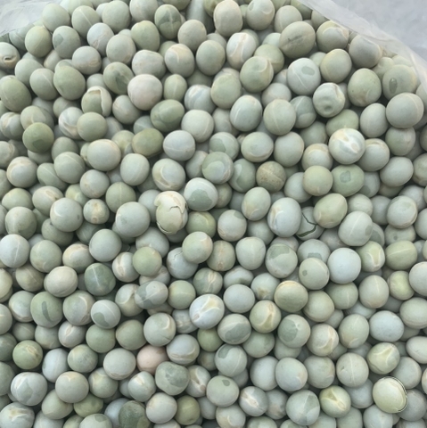 Đậu hà lan xanh nguyên Hạt Canada Túi 500g - Set 5 Túi