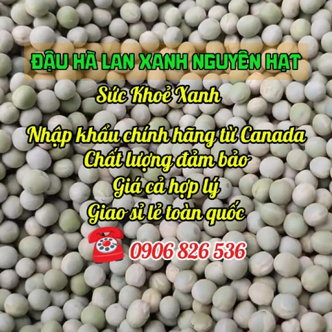Sức Khỏe Xanh - Đậu Hà Lan Xanh Canada - Nguyên hạt - Nhập khẩu chính hãng - Giao sỉ lẻ toàn quốc