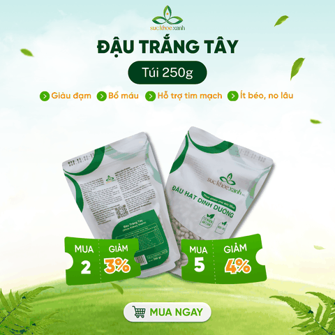 Đậu Trắng Tây Myanmar 500g - Hạt sạch, thuần tự nhiên - Giàu đạm, chất xơ - Món chay, healthy