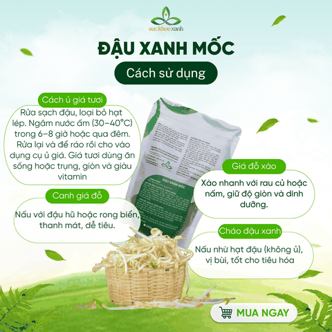 Đậu xanh mốc (đậu xanh tiêu) Myanmar 500g - Tỉ lệ nãy mầm cao - Chuyên làm giá đỗ