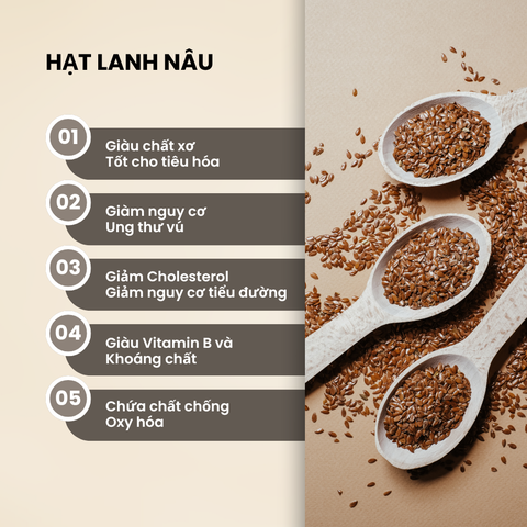 Combo 2 Túi Hạt lanh nâu nhập khẩu Ấn Độ, mỗi Túi 500g