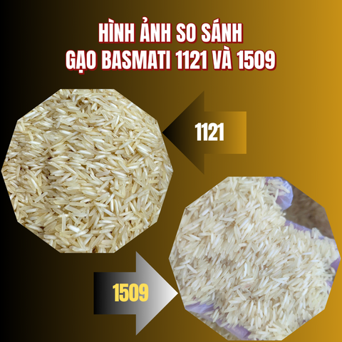 Gạo Basmati India (Ấn độ) Túi 1kg, ngăn ngừa tiểu đường