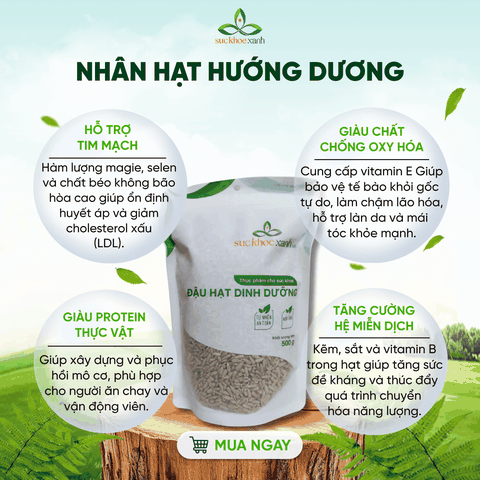 Hạt Hướng Dương Bóc Vỏ Trung Quốc 500g – Ăn Vặt Dinh Dưỡng, Ăn Chay, Làm Đẹp Da, Bổ Sung Khoáng Chất