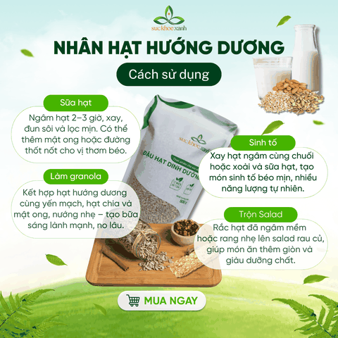 Nhân Hạt Hướng Dương Trung Quốc 100g – Hạt Dinh Dưỡng Giàu Vitamin E, Ăn Vặt Healthy