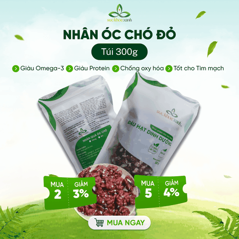 Nhân Óc Chó Đỏ Mỹ 300g – Giàu Protein, Chất Xơ, Tăng Cường Sức Đề Kháng