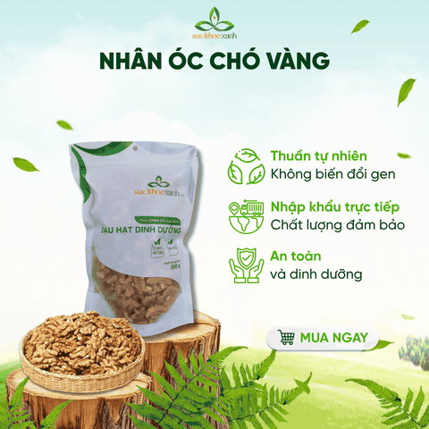 Nhân Óc Chó Vàng Mỹ 100g – Hỗ Trợ Sức Khỏe Toàn Diện, Tăng Đề Kháng
