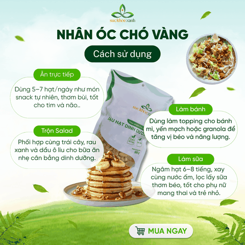 Nhân Óc Chó Vàng Mỹ 100g – Hỗ Trợ Sức Khỏe Toàn Diện, Tăng Đề Kháng