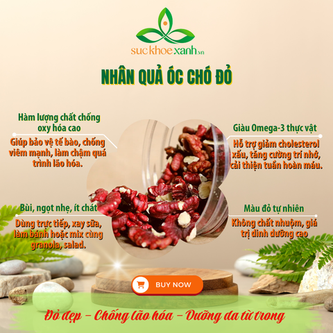 Nhân Óc Chó Đỏ Mỹ 300g – Giàu Protein, Chất Xơ, Tăng Cường Sức Đề Kháng