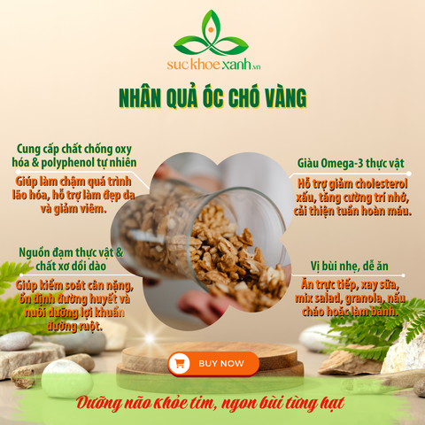 Nhân Óc Chó Vàng Mỹ 100g – Hỗ Trợ Sức Khỏe Toàn Diện, Tăng Đề Kháng