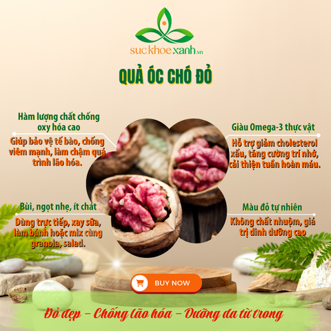 Quả Óc Chó đỏ 500gr (Mỹ)