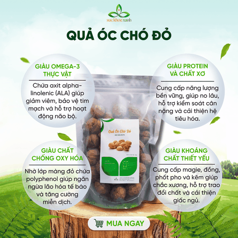 Quả Óc Chó Đỏ Mỹ 500g – Ăn Vặt Lành Mạnh, Nhiều Protein & Chất Xơ