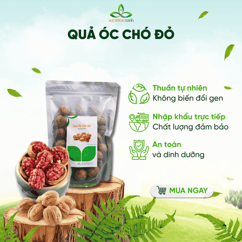 Quả Óc Chó Đỏ Mỹ 500g – Ăn Vặt Lành Mạnh, Nhiều Protein & Chất Xơ