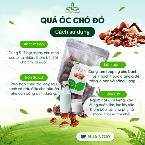 Quả Óc Chó Đỏ Mỹ 500g – Ăn Vặt Lành Mạnh, Nhiều Protein & Chất Xơ