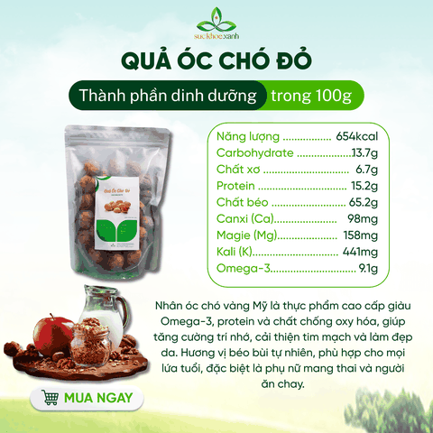 Quả Óc Chó Đỏ Mỹ 500g – Ăn Vặt Lành Mạnh, Nhiều Protein & Chất Xơ