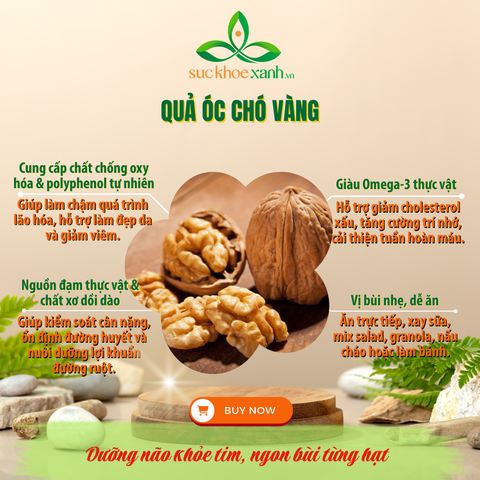 Quả Óc Chó Vàng Mỹ 500g – Hạt Dinh Dưỡng Giàu Omega 3, Tốt Cho Tim Mạch