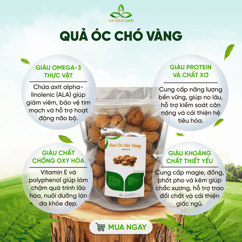 Quả Óc Chó Vàng Mỹ 500g – Hạt Dinh Dưỡng Giàu Omega 3, Tốt Cho Tim Mạch