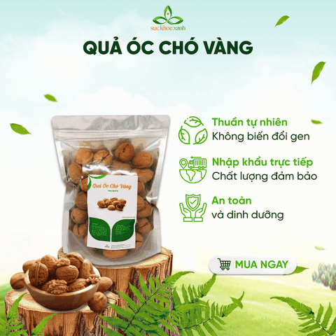 Quả Óc Chó Vàng Mỹ 500g – Hạt Dinh Dưỡng Giàu Omega 3, Tốt Cho Tim Mạch