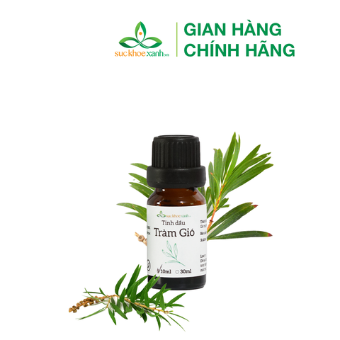 Tinh dầu Tràm gió 10ml (Việt Nam)