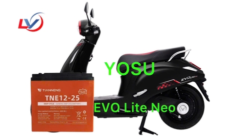 Ắc Quy Xe Máy Điện VinFast EVO Lite Neo