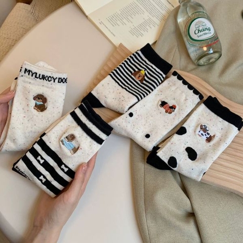 [ Set 10 Đôi ] Vớ Dài - 96437