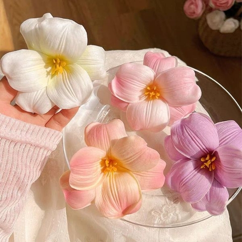 [ Set 12 Cái ] Kẹp Tóc - 16722