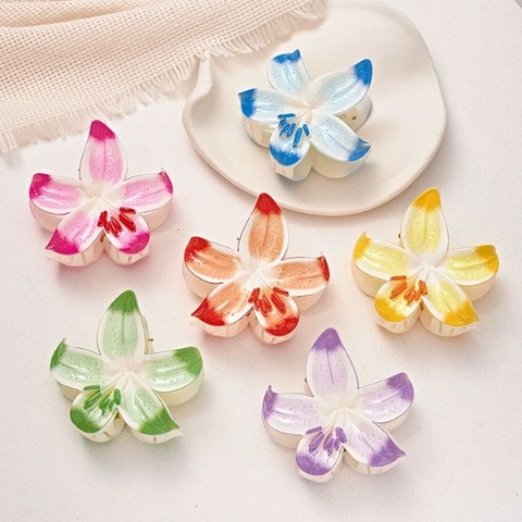 [ Set 12 Cái ] Kẹp Tóc - 17139