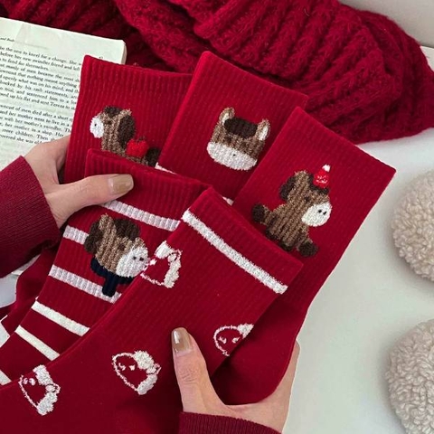 [ Set 10 Đôi ] Vớ Dài [ Cotton ] - 20406