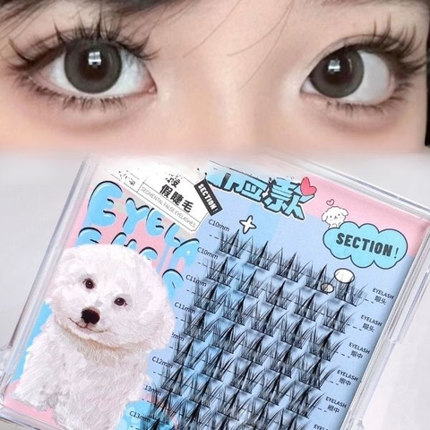 [ Set 5 Hộp ] Mi Giả - 22087