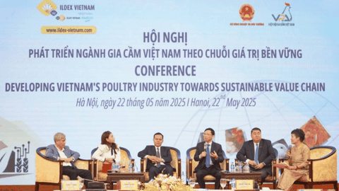 Cần hình thành các tập đoàn tư nhân lớn để dẫn dắt toàn bộ chuỗi