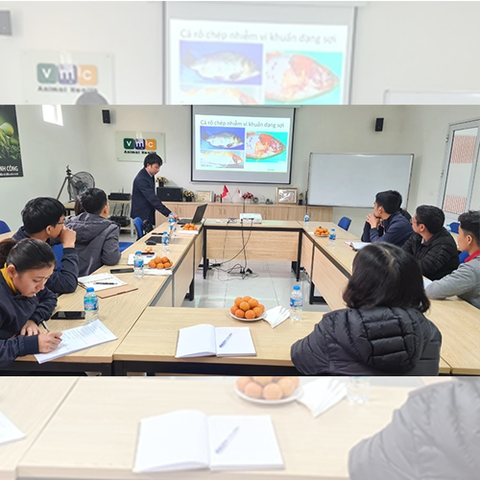 VMC Việt Nam: Đào tạo năng lực chuẩn đoán bệnh trên cá nước ngọt trong vụ Đông Xuân