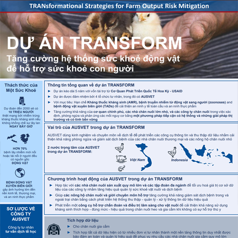 Làm việc với công ty AUSVET – Australia