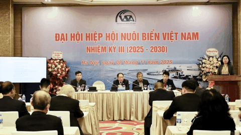 Hướng tới ngành nuôi biển công nghiệp, xanh và hội nhập quốc tế