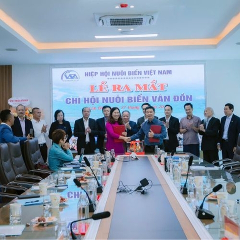 VMC Việt Nam tham dự chương trình “Lễ ra mắt Chi hội Nuôi biển Vân Đồn” - Đồng hành vì phát triển bền vững